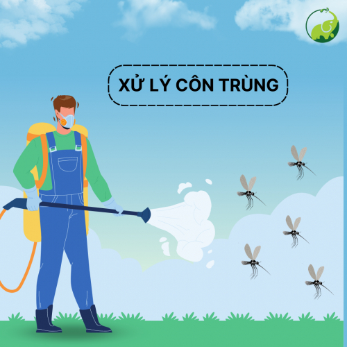 Xử Lý Côn Trùng